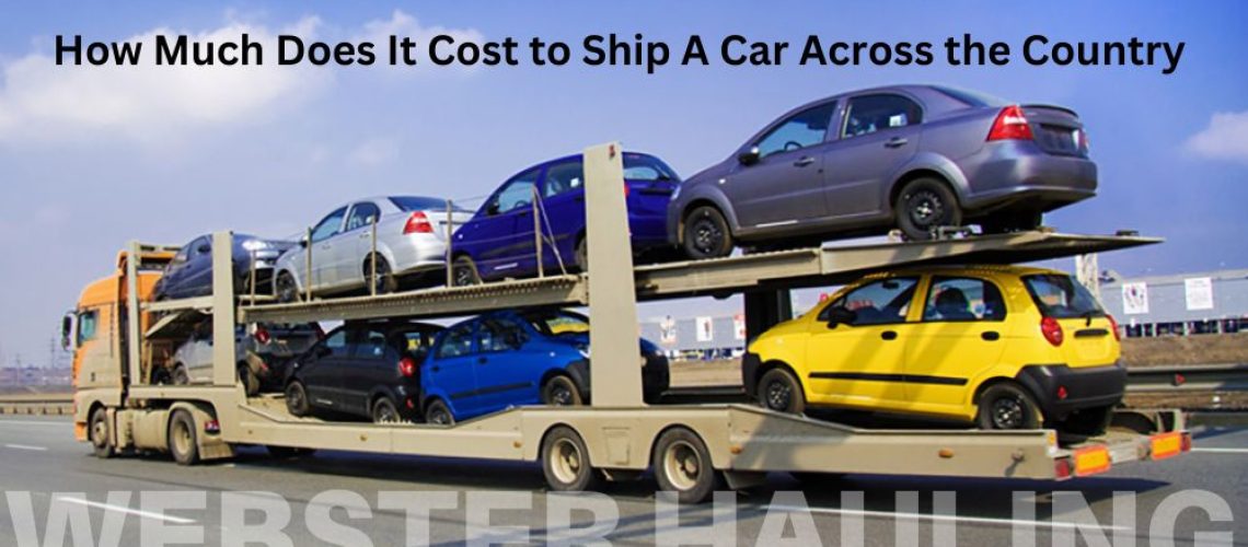 What to Expect During the Auto Transport Process
